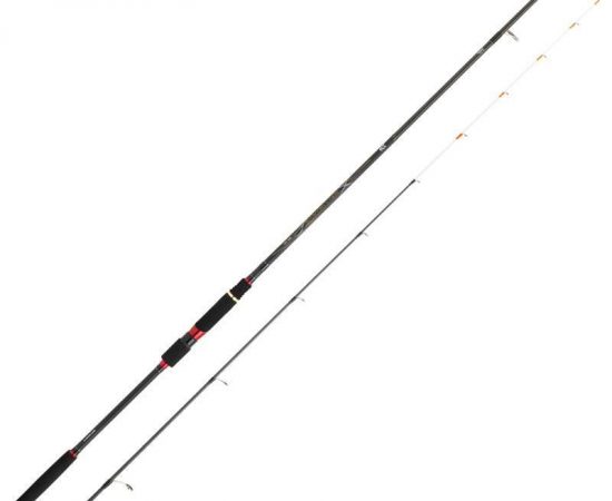 canne-daiwa-ballistic-x-tenya-242H canne-daiwa-ballistic-x-tenya-242H