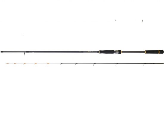 Carte BG daiwa